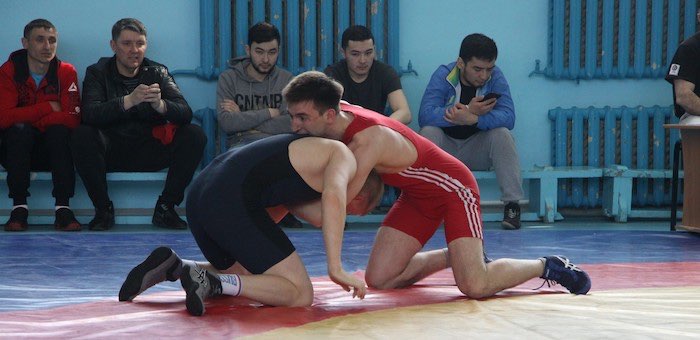Спортсмены с Алтая стали победителями всероссийского турнира по греко-римской борьбе