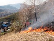 Семь травяных пожаров поблизости от населенных пунктов потушены за минувшие сутки