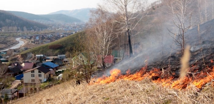 Семь травяных пожаров поблизости от населенных пунктов потушены за минувшие сутки