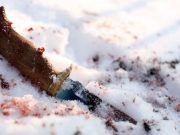 Многодетная мать едва не убила мужа из-за сильной обиды Многодетная мать едва не убила мужа из-за сильной обиды