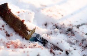 Многодетная мать едва не убила мужа из-за сильной обиды Многодетная мать едва не убила мужа из-за сильной обиды