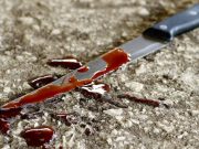 В дачном поселке произошло жестокое убийство В дачном поселке произошло жестокое убийство