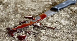 В дачном поселке произошло жестокое убийство В дачном поселке произошло жестокое убийство