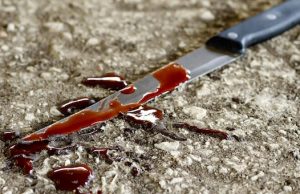 В дачном поселке произошло жестокое убийство В дачном поселке произошло жестокое убийство