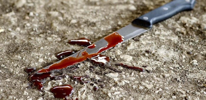 В дачном поселке произошло жестокое убийство