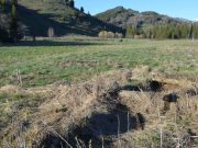 Ученые нашли заброшенную деревню в Катунском заповеднике