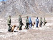 Межведомственные соревнования по кинологии впервые состоялись в Республике Алтай