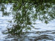 МЧС предупреждает о возможном подъеме уровня воды в реках