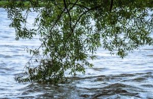 МЧС предупреждает о возможном подъеме уровня воды в реках МЧС предупреждает о возможном подъеме уровня воды в реках