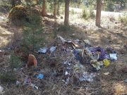 Главам районов поручили устранить несанкционированные свалки