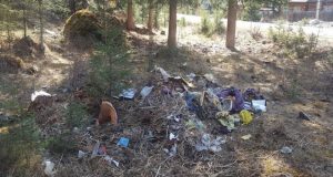 Главам районов поручили убрать несанкционированные свалки Главам районов поручили устранить несанкционированные свалки