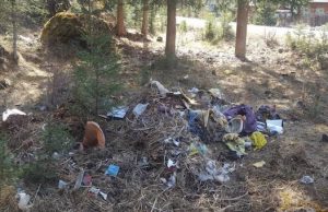 Главам районов поручили убрать несанкционированные свалки Главам районов поручили устранить несанкционированные свалки