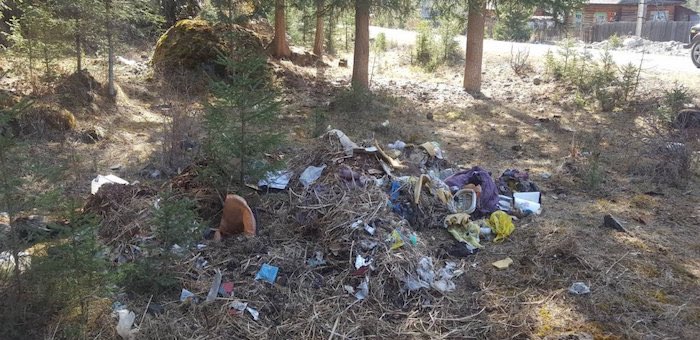 Главам районов поручили убрать несанкционированные свалки