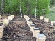 Стройка на территории памятника археологии «Чултуков лог-1» приостановлена На территории памятника «Чултуков Лог-1» приостановлены строительные работы