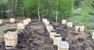 На территории памятника «Чултуков Лог-1» приостановлены строительные работы