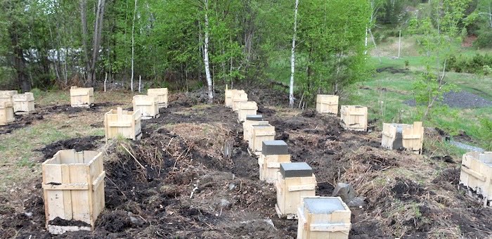 Стройка на территории памятника археологии «Чултуков лог-1» приостановлена