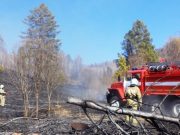 В Горно-Алтайске из-за сухой травы едва не сгорели 23 жилых дома