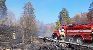 В Горно-Алтайске из-за сухой травы едва не сгорели 23 жилых дома