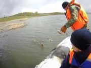Участники акции «Водоемы без сетей» освободили 10 килограммов карасей Участники акции «Водоемы без сетей» освободили 10 килограммов карасей