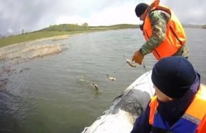 Участники акции «Водоемы без сетей» освободили 10 килограммов карасей Участники акции «Водоемы без сетей» освободили 10 килограммов карасей