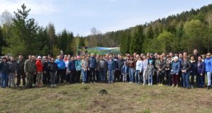Свыше 120 человек приняли участие в посадке деревьев