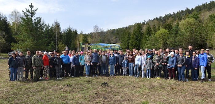 Свыше 120 человек приняли участие в посадке деревьев
