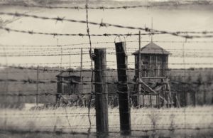 Установлена судьба уроженца Элекмонара, пропавшего без вести в годы войны