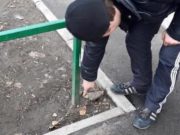 Пойдет под суд сельчанин, который искал «закладку» и выдал себя странным поведением