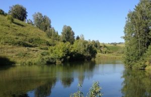 Житель Карлушки утонул, купаясь в озере в Страшном логу Житель Карлушки утонул, купаясь в озере в Страшном логу