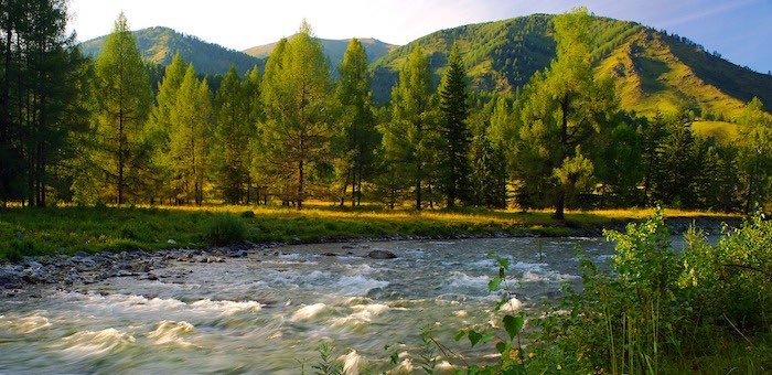 Республика Алтай заняла третье место в рейтинге «Зеленого патруля» по итогам весны