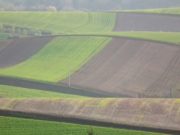 «Научные» земли в Шебалинском районе могут передать местным жителям и фермерам