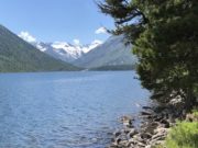 Вода, воздух и почва на Алтае - в числе лучших в России