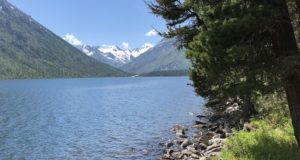 Вода, воздух и почва на Алтае - в числе лучших в России