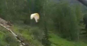 Парапланерист жестко «приземлился» в деревья на склоне Синюхи: видео