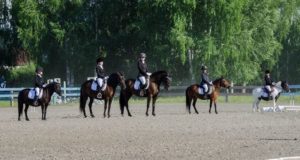 Соревнования по конному спорту прошли в Горно-Алтайске