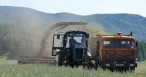 Объявлен конкурс среди сельхозкооперативов на получение грантов