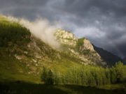 Ливневые дожди и грозы продлятся всю первую декаду июля