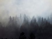 Жителей республики призывают не волноваться из-за дыма: на территории региона пожаров нет Жителей республики призывают не волноваться из-за дыма: на территории региона пожаров нет