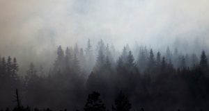 Жителей республики призывают не волноваться из-за дыма: на территории региона пожаров нет Жителей республики призывают не волноваться из-за дыма: на территории региона пожаров нет