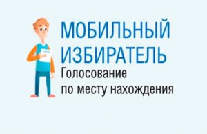 «Мобильный избиратель»: как проголосовать 8 сентября, если вы уезжаете