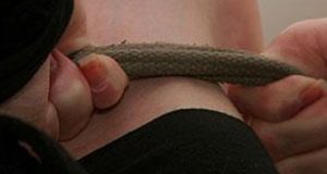 Ревнивый мужчина задушил свою сожительницу Ревнивый мужчина задушил свою сожительницу
