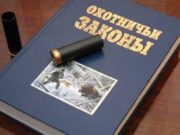Утверждены лимиты добычи охотничьих ресурсов на территории Республики Алтай