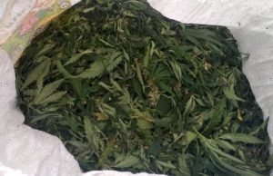 Многодетный отец получил условный срок за любовь к марихуане