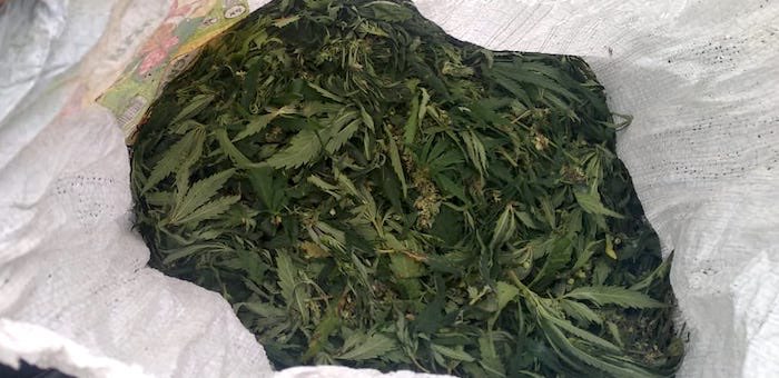 Многодетный отец получил условный срок за любовь к марихуане