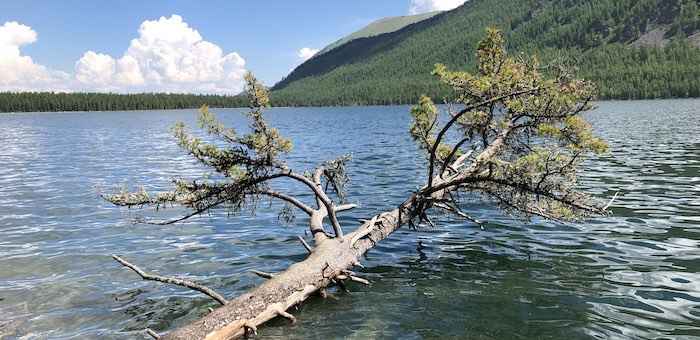 Последняя неделя лета будет теплой