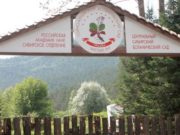 Проблемы Ботанического сада обсудили эксперты ОНФ