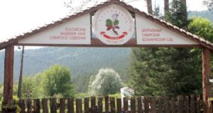 Проблемы Ботанического сада обсудили эксперты ОНФ Проблемы Ботанического сада обсудили эксперты ОНФ