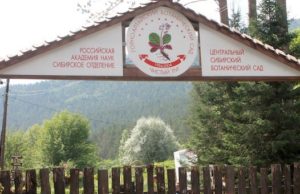 Проблемы Ботанического сада обсудили эксперты ОНФ