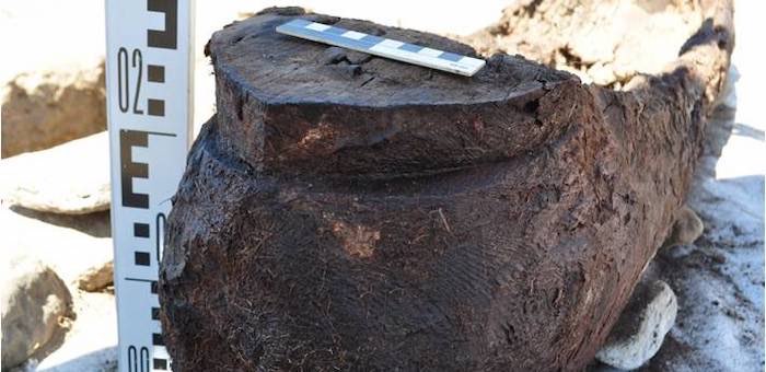 Необычное древнее захоронение в виде лодки нашли археологи в Курайской степи