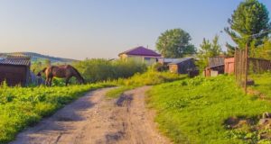 Внимание! До 1 сентября принимаются предложения о ремонте сельских дорог